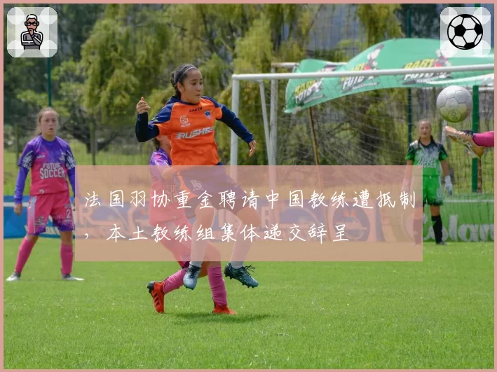 法国羽协重金聘请中国教练遭抵制,本土教练组集体递交辞呈