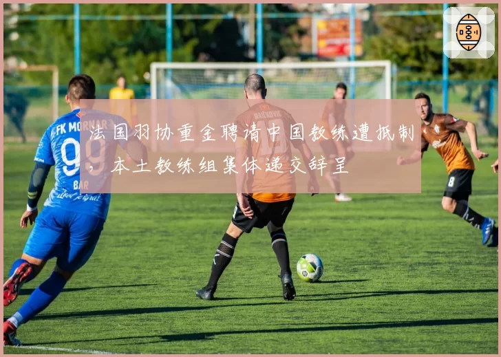 法国羽协重金聘请中国教练遭抵制,本土教练组集体递交辞呈