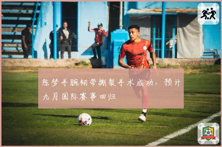 陈梦手腕韧带撕裂手术成功,预计九月国际赛事回归