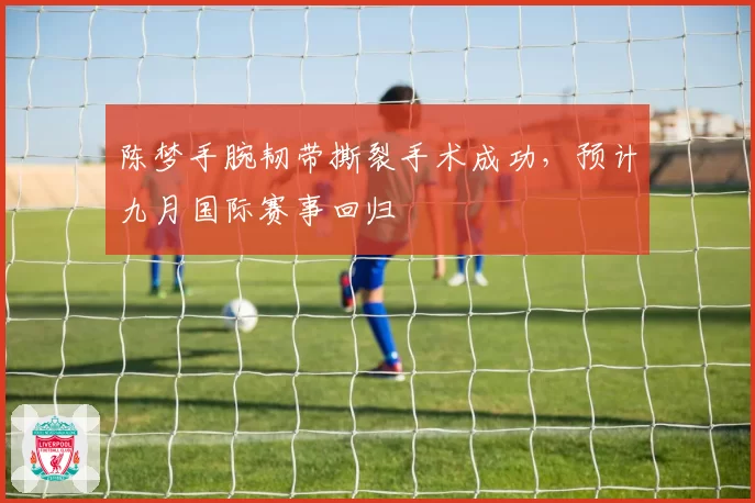 陈梦手腕韧带撕裂手术成功,预计九月国际赛事回归